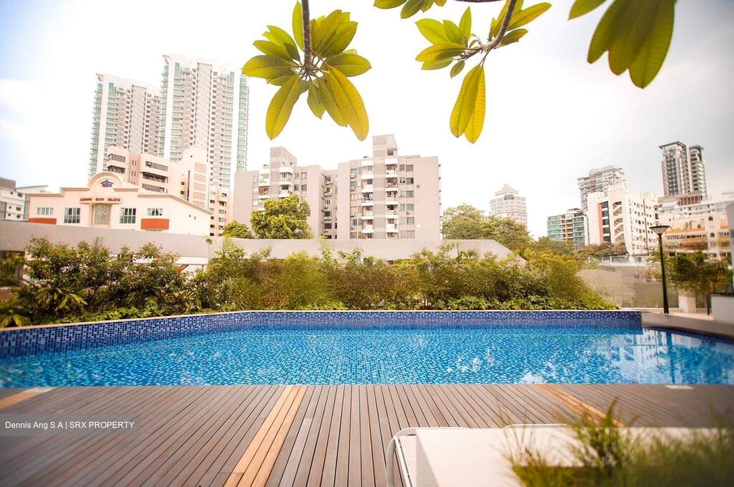 Ascent @ 456 (D12), Apartment #458817001